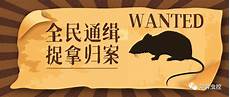香港服务器阿里云做博彩,阿里云拥有香港服务器阿里云做博彩 稳定的运